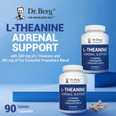 Dr. Berg L-Theanine 200mg - Includes Zinc, Copper, L-Tyrosine, & Ashwagandha – L-Theanine Supplement Adrenal Support - for Relaxation, Stress Relief, and Mental Clarity* – 90 Gelatin Capsules