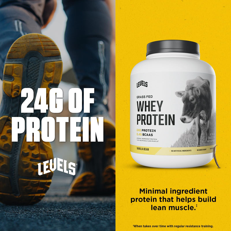 Levels Grass Fed Whey Protein Powder, No Artificials, 24G of Protein, Double Chocolate, 5LB