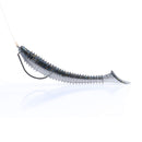 RUNCL Swimbaits Paddle 10/20/30/40PCS, 5/4/3/2 Inchs Paddle Tail, Soft Lure for Trout Crappie Bass, Durable Plastic Bait Swimmer for Saltwater/Freshwater, Fishing Lover's Gift