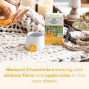 Organic India Tulsi Sleep Herbal Tea - Holy Basil, Stress Relieving & Relaxing, Immune Support, Balances Sleep Cycles, Vegan, USDA Certified Organic, Non-GMO, Caffeine-Free - 18 Infusion Bags, 6 Pack