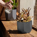 Bloem Tuxton Hexagon Planter: 8" - Black - Modern Unique Geometic Small Pl, Durable Resin, Modern Design, Optional Drainage Holes, for Indoor & Outdoor Use, Gardening, 1.7 Gallon Capacity
