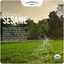 Organic Ethiopian Sesame Tahini Paste - Hulled - Stone-Ground, Unsalted, Gluten-Free, Kosher, Vegan, Peanut-Free, 11.6 Ounce Glass Jars (2-Pack) by Pepperwood Organics