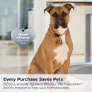 BISSELL TurboClean PET, Upright Carpet & Upholstery Cleaner, 3948