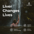 Ancestral Supplements Grass Fed Beef Organ Supplement, Supports Whole Body Wellness with Proprietary Blend of Liver, Heart, Kidney, Pancreas, Spleen, Freeze-Dried Beef, Non-GMO, 180 Capsules