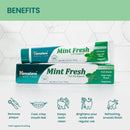 Himalaya Mint Fresh Gel Toothpaste, Fluoride Free to Reduce Plaque & Brighten Teeth, 6.17 oz, 2 Pack