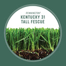 Pennington Kentucky 31 Tall Fescue Penkoted Grass Seed 40 lbs