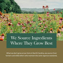 Gaia Herbs, Oil of Oregano, Vegan Liquid Phyto Capsules - Immune and Intestinal Support Supplement for Healthy Digestive Flora, 120-Count (Pack of 1)