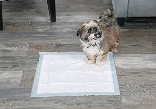 Hartz Home Protection Unscented Odor Eliminating Gel Dog Pads - 50 Count
