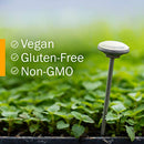 Herb Pharm Certified Organic Valerian Root Liquid Extract for Relaxation and Restful Sleep, Alcohol-Free Glycerite, 1 Ounce