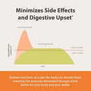 ENDUR-ACIN 250mg Niacin - Extended Release for Optimal Absorption & Low-Flush Vitamin B-3, 200 Tablets - Non-GMO, Vegan, Gluten Free - Endurance Products Company