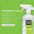 Better Life All Purpose Cleaner - Multipurpose Home and Kitchen Cleaning Spray for Glass, Countertops, Appliances, Upholstery & More - Multi-surface Spray Cleaner - 32oz (Pack of 2) Clary Sage/Citrus