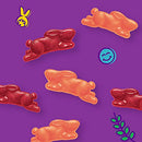 Annie's Organic Bunny Fruit Snacks, Gluten Free, Variety Pack, 24 Pouches