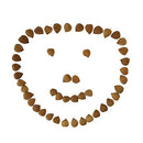 Natural Raw Bitter Apricot Kernels 16oz, Organic USDA Certified Bitter Apricot Seeds 1LB