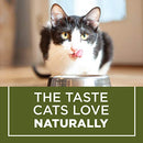 Purina Cat Chow Naturals 13 lb. Bag