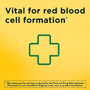 Nature Made Iron 65 mg (325 mg Ferrous Sulfate) Dietary Supplement for Red Blood Cell Support 365 Tablets, 365 Day Supply+Better Guide Vitamins Supplements Free