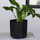 Bloem Tuxton Hexagon Planter: 8" - Black - Modern Unique Geometic Small Pl, Durable Resin, Modern Design, Optional Drainage Holes, for Indoor & Outdoor Use, Gardening, 1.7 Gallon Capacity