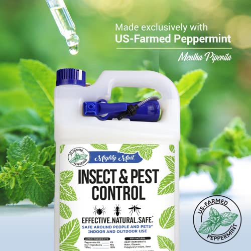 Mighty Mint Gallon (128 oz) Insect and Pest Control Peppermint Oil - Natural Spray for Spiders, Ants, and More
