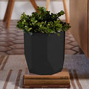 Bloem Tuxton Hexagon Planter: 8" - Black - Modern Unique Geometic Small Pl, Durable Resin, Modern Design, Optional Drainage Holes, for Indoor & Outdoor Use, Gardening, 1.7 Gallon Capacity