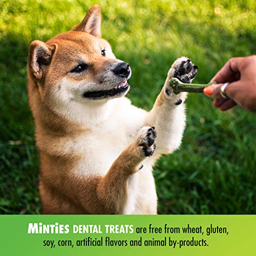 Minties VetIQ Dog Dental Bone Treats, Dental Chews for Medium/Large Dogs (Over 40 Lbs), 40 Count