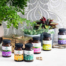 ORGANIC INDIA Ashwagandha Herbal Supplement - Stress Response Support, Vegan, Gluten-Free, Kosher, USDA Certified Organic, Non-GMO, Supports Mood, Endurance, Vitality & Strength - 180 Capsules