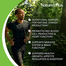 NaturesPlus Vitamin B1 (Thiamin HCI), Sustained Release - 300 mg, 90 Vegetarian Tablets - Natural Energy Boost, Helps Metabolize Carbohydrates - Gluten-Free - 90 Servings