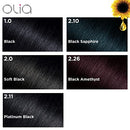 Garnier Hair Color Olia Ammonia-Free Brilliant Color Oil-Rich Permanent Hair Dye, 6.0 Light Brown, 1 Count (Packaging May Vary)