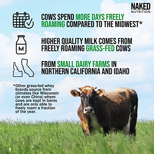 Naked WHEY 5LB 100% Grass Fed Unflavored Whey Protein Powder - US Farms, Only 1 Ingredient, Undenatured - No GMO, Soy or Gluten - No Preservatives - Promote Muscle Growth and Recovery - 76 Servings