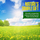 Kiss Me Organics Dandelion Root Tea, 20 Count (Pack of 3)