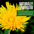 Kiss Me Organics Dandelion Root Tea, 20 Count (Pack of 3)