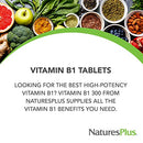 NaturesPlus Vitamin B1 (Thiamin HCI), Sustained Release - 300 mg, 90 Vegetarian Tablets - Natural Energy Boost, Helps Metabolize Carbohydrates - Gluten-Free - 90 Servings