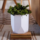 Bloem Tuxton Hexagon Planter: 8" - Black - Modern Unique Geometic Small Pl, Durable Resin, Modern Design, Optional Drainage Holes, for Indoor & Outdoor Use, Gardening, 1.7 Gallon Capacity