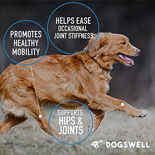 DOGSWELL Hip and Joint Supplement for Dogs - Soft Chews with Glucosamine, Chondroitin, MSM, Boswellia & Turmeric, 1 Pound