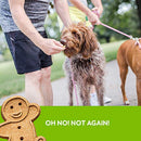 Buddy Biscuits Oven Baked Treats with Peanut Butter, Whole Grain - 16 oz. - Single Box (Shipping Only)