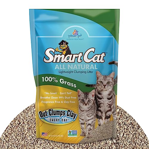 SmartCat All Natural Clumping Cat Litter, 10 Pound (160oz 1 Pack) - Alternative to Clay and Pellet Litter - Chemical and 99% Dust Free - Unscented and Lightweight