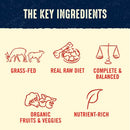 Stella & Chewy's Freeze Dried Raw Dinner Patties – Grain Free Dog Food, Protein Rich Simply Venison Recipe – 25 oz Bag