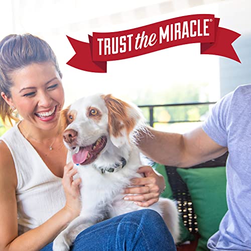 Nature's Miracle Dog Stain and Odor Remover, Safe for Your Pets & Home