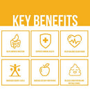 Prebiotic Fiber Supplement - Supports Gut Health and Digestive Regularity - Soluble Powder Fiber Supplement for Women + Men - Gummies Alternative - Gluten Free, Sugar Free, Keto, Vegan - 35 Servings