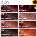 Garnier Hair Color Olia Ammonia-Free Brilliant Color Oil-Rich Permanent Hair Dye, 6.0 Light Brown, 1 Count (Packaging May Vary)