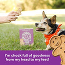 Buddy Biscuits Oven Baked Treats with Peanut Butter, Whole Grain - 16 oz. - Single Box (Shipping Only)