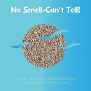 SmartCat All Natural Clumping Cat Litter, 10 Pound (160oz 1 Pack) - Alternative to Clay and Pellet Litter - Chemical and 99% Dust Free - Unscented and Lightweight