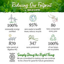 Bigelow Tea Ginger Peach Turmeric Herbal Tea, Caffeine Free, 18 Count (Pack of 6), 108 Total Tea Bags