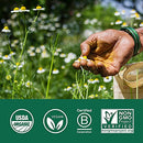 ORGANIC INDIA Ashwagandha Herbal Supplement - Stress Response Support, Vegan, Gluten-Free, Kosher, USDA Certified Organic, Non-GMO, Supports Mood, Endurance, Vitality & Strength - 180 Capsules