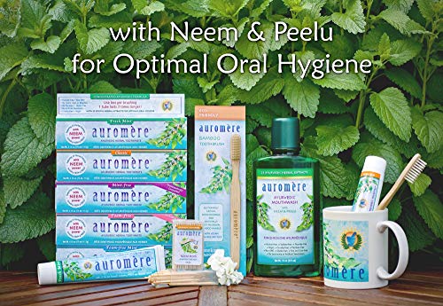 Auromere Ayurvedic Herbal Toothpaste, Mint Free - Vegan, Natural, Non GMO, Fluoride Free, Gluten Free, with Neem & Peelu (4.16 oz), 2 Pack