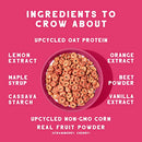 Upcycled Oat Protein Cereal by Seven Sundays – Maple Cinnamon 3-Pack | High Protein and Low Sugar Breakfast Cereal | Gluten Free, Vegan, Kosher, Non-GMO