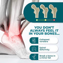 Bone Health Formula Calcium and Magnesium Supplement - Prep for Scan Bone Strength Supplements with Plant Based Calcium Citrate, Potassium Magnesium - Bone and Joint Vitamins for Women and Men