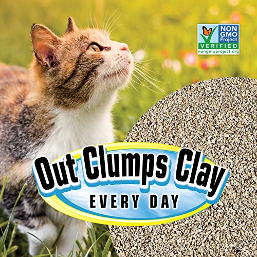 SmartCat All Natural Clumping Cat Litter, 10 Pound (160oz 1 Pack) - Alternative to Clay and Pellet Litter - Chemical and 99% Dust Free - Unscented and Lightweight