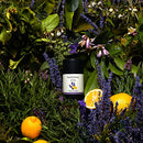 Each & Every 2-Pack Natural Aluminum-Free Deodorant for Sensitive Skin with Essential Oils, Plant-Based Packaging (Unscented, 2.5 Ounce (Pack of 2))