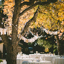 Outdoor String Lights 25 Feet G40 Globe LED Patio Lights with 13 Edison Plastic Bulbs(1 Spare), Waterproof Connectable Hanging Christmas Lights for Backyard Porch Balcony Party Xmas Decor, Black