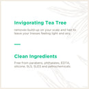 Soapbox Coconut Oil Shampoo, Sulfate Free, Paraben Free, Silicone Free, Color Safe, and Vegan Hair Shampoo (33.8 Ounces)