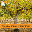 It's Just - Raw Walnuts, California Grown, Made in USA, 20oz (1.25lb), Unsalted, Halves & Pieces
